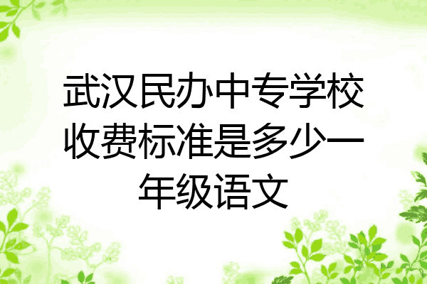 武汉民办中专学校收费标准是多少一年级语文