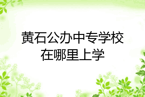黄石公办中专学校在哪里上学