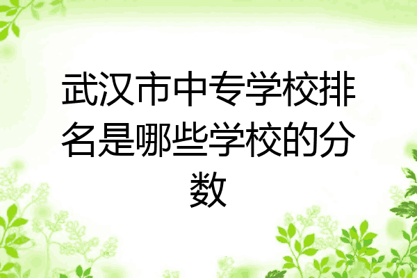 武汉市中专学校排名是哪些学校的分数