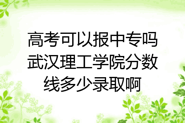 高考可以报中专吗武汉理工学院分数线多少录取啊