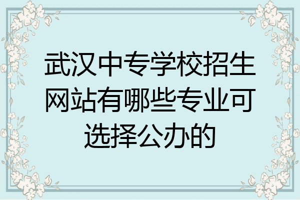 武汉中专学校招生网站有哪些专业可选择公办的