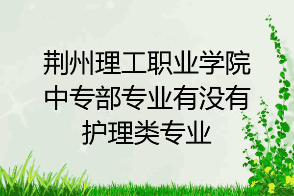 荆州理工职业学院中专部专业有没有护理类专业