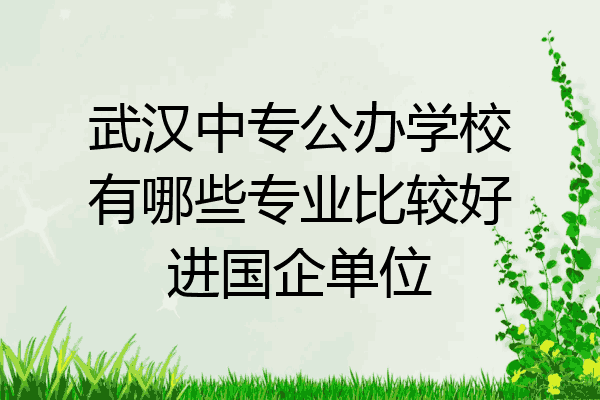 武汉中专公办学校有哪些专业比较好进国企单位