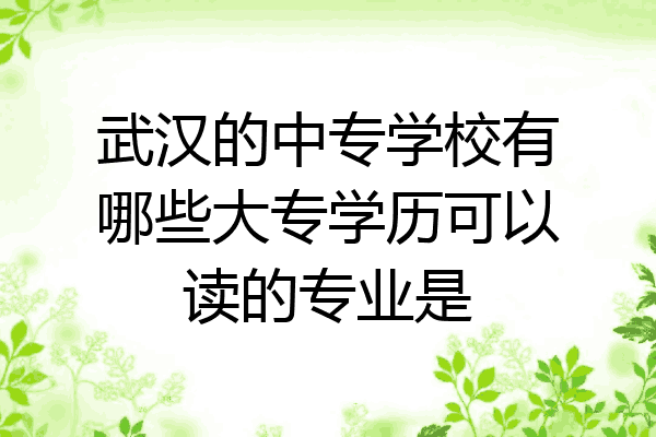 武汉的中专学校有哪些大专学历可以读的专业是