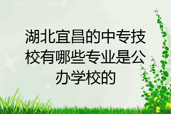 湖北宜昌的中专技校有哪些专业是公办学校的