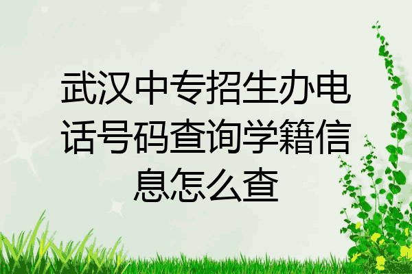 武汉中专招生办电话号码查询学籍信息怎么查