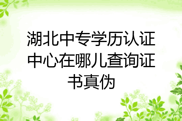 湖北中专学历认证中心在哪儿查询证书真伪