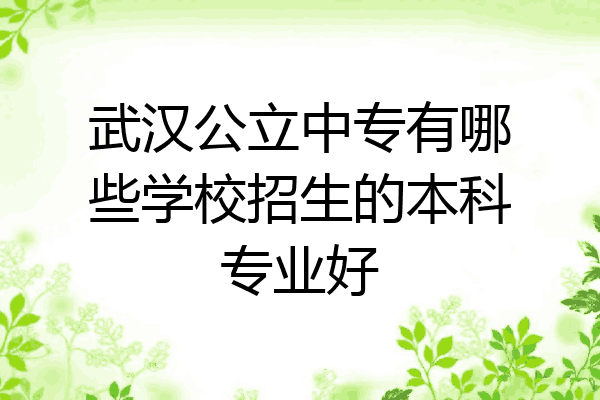武汉公立中专有哪些学校招生的本科专业好