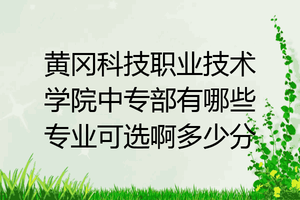 黄冈科技职业技术学院中专部有哪些专业可选啊多少分