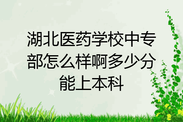 湖北医药学校中专部怎么样啊多少分能上本科