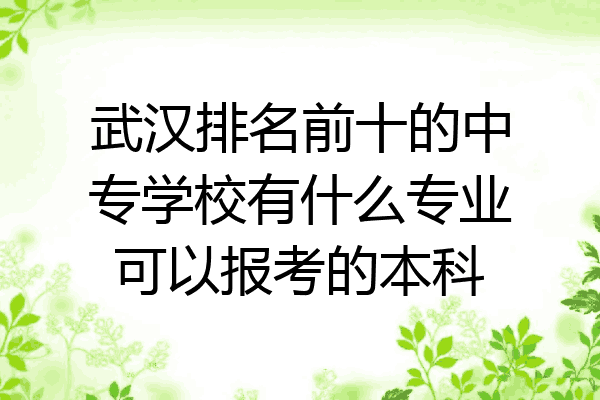 武汉排名前十的中专学校有什么专业可以报考的本科