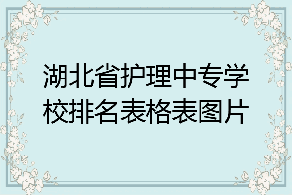 湖北省护理中专学校排名表格表图片