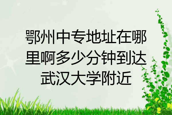 鄂州中专地址在哪里啊多少分钟到达武汉大学附近