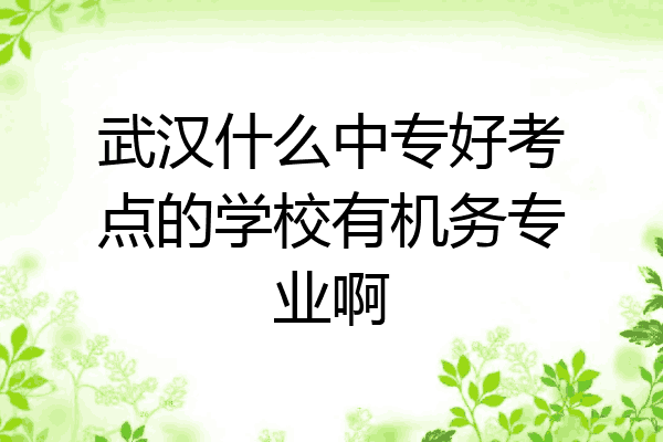 武汉什么中专好考点的学校有机务专业啊