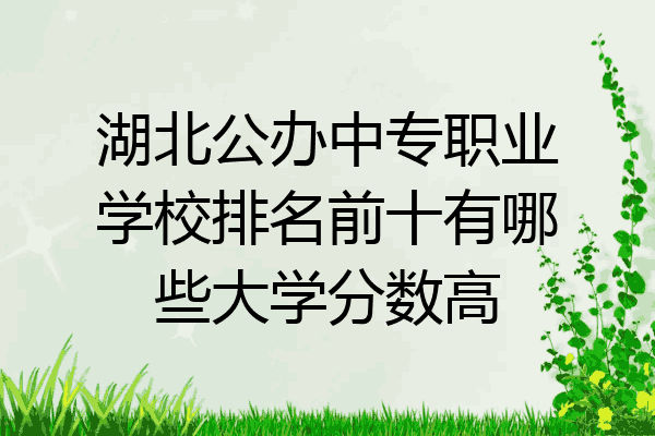 湖北公办中专职业学校排名前十有哪些大学分数高