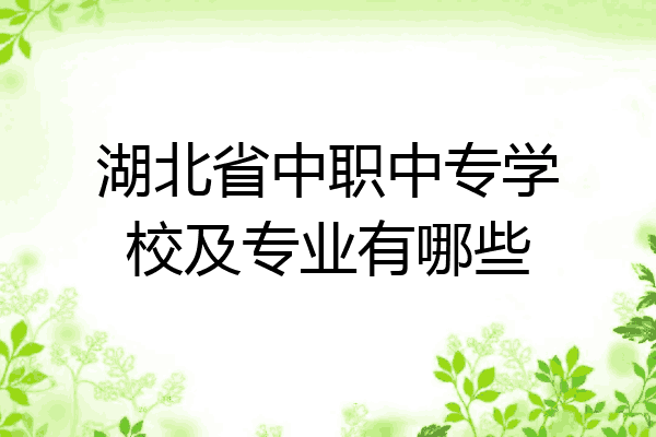 湖北省中职中专学校及专业有哪些