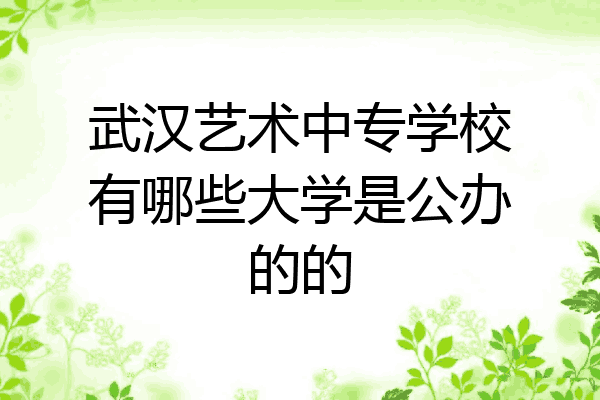 武汉艺术中专学校有哪些大学是公办的的