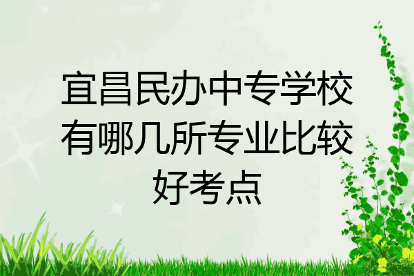 宜昌民办中专学校有哪几所专业比较好考点