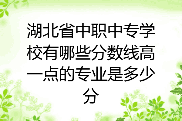 湖北省中职中专学校有哪些分数线高一点的专业是多少分