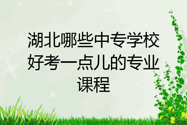 湖北哪些中专学校好考一点儿的专业课程