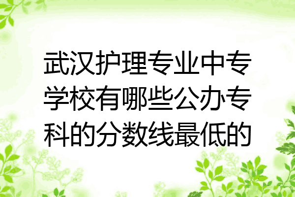 武汉护理专业中专学校有哪些公办专科的分数线最低的