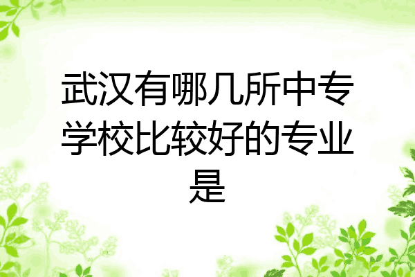 武汉有哪几所中专学校比较好的专业是