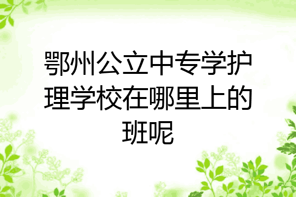 鄂州公立中专学护理学校在哪里上的班呢