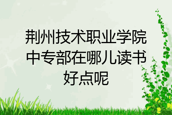 荆州技术职业学院中专部在哪儿读书好点呢