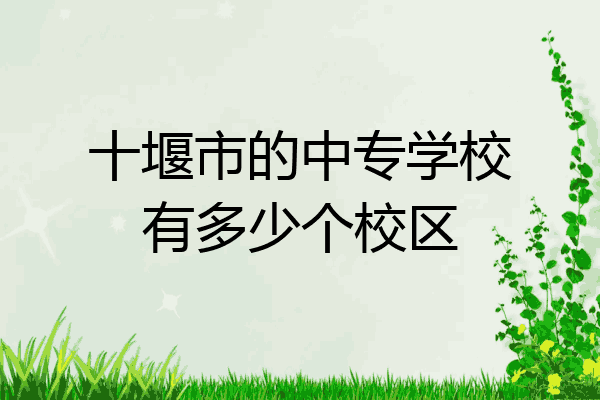 十堰市的中专学校有多少个校区