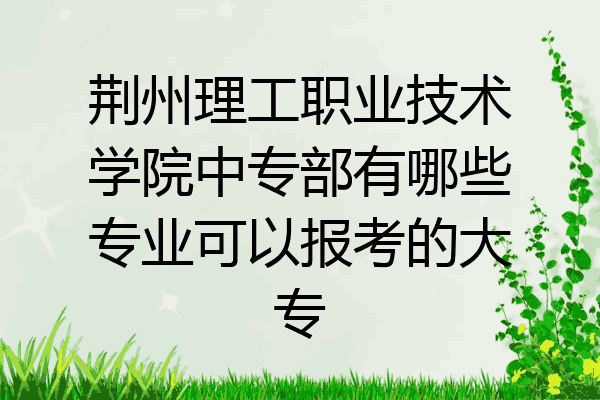 荆州理工职业技术学院中专部有哪些专业可以报考的大专