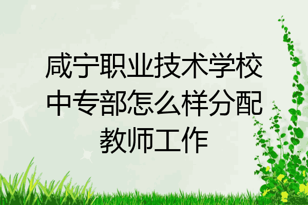 咸宁职业技术学校中专部怎么样分配教师工作