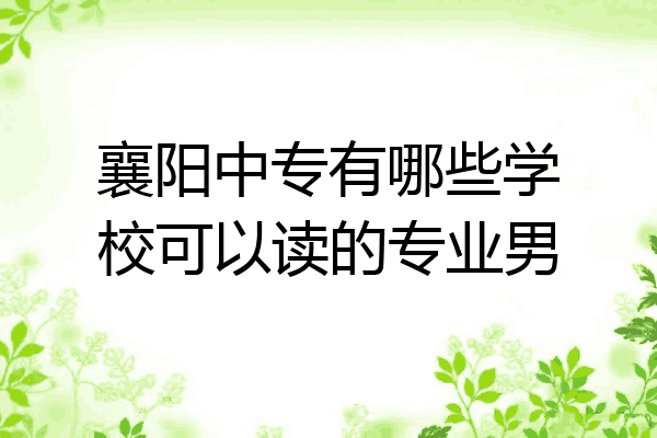襄阳中专有哪些学校可以读的专业男
