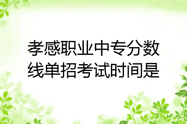 孝感职业中专分数线单招考试时间是