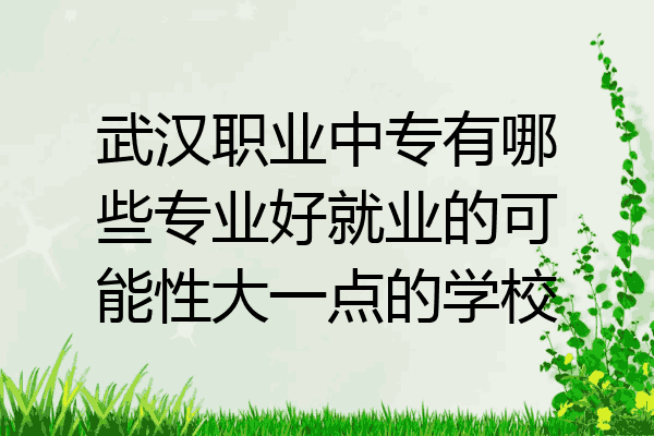 武汉职业中专有哪些专业好就业的可能性大一点的学校