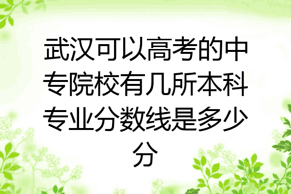 武汉可以高考的中专院校有几所本科专业分数线是多少分