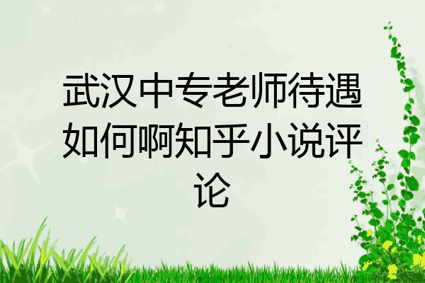 武汉中专老师待遇如何啊知乎小说评论