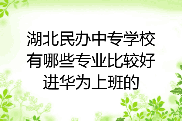 湖北民办中专学校有哪些专业比较好进华为上班的