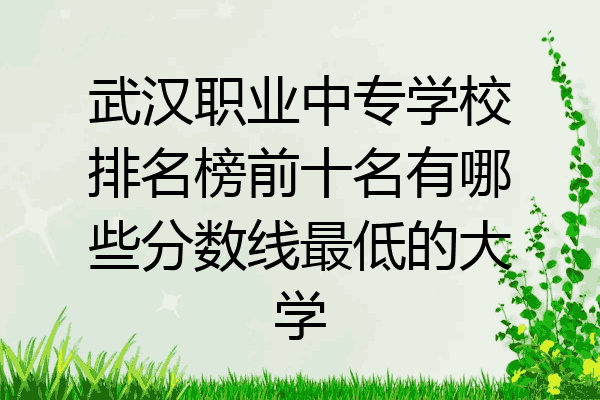 武汉职业中专学校排名榜前十名有哪些分数线最低的大学