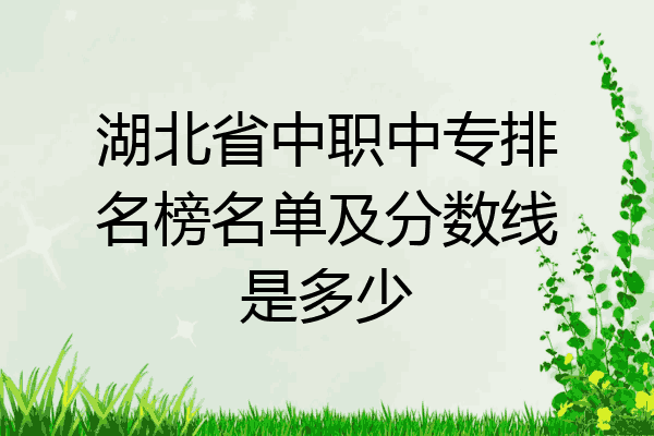 湖北省中职中专排名榜名单及分数线是多少