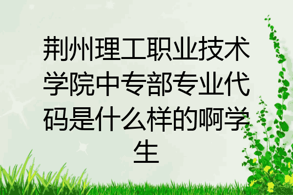 荆州理工职业技术学院中专部专业代码是什么样的啊学生