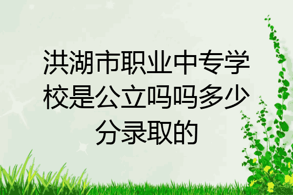 洪湖市职业中专学校是公立吗吗多少分录取的