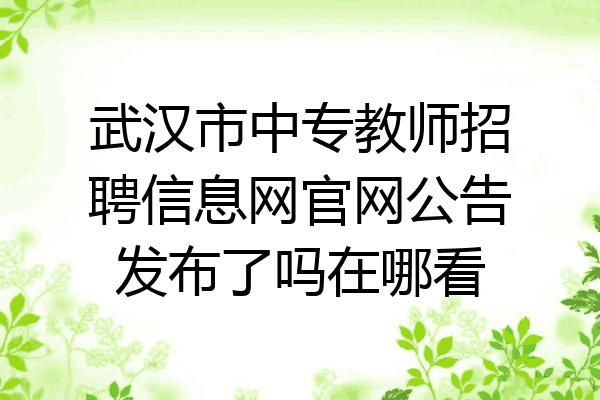 武汉市中专教师招聘信息网官网公告发布了吗在哪看