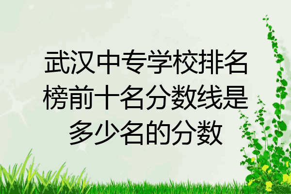 武汉中专学校排名榜前十名分数线是多少名的分数