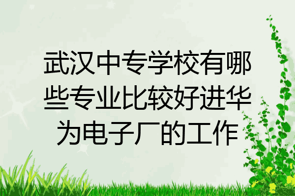 武汉中专学校有哪些专业比较好进华为电子厂的工作