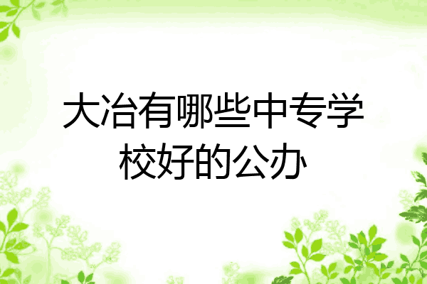 大冶有哪些中专学校好的公办