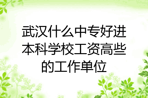 武汉什么中专好进本科学校工资高些的工作单位