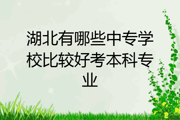 湖北有哪些中专学校比较好考本科专业