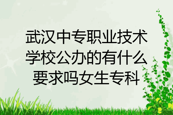 武汉中专职业技术学校公办的有什么要求吗女生专科