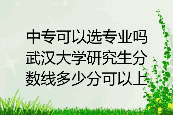 中专可以选专业吗武汉大学研究生分数线多少分可以上