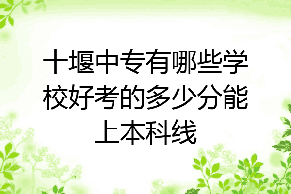 十堰中专有哪些学校好考的多少分能上本科线